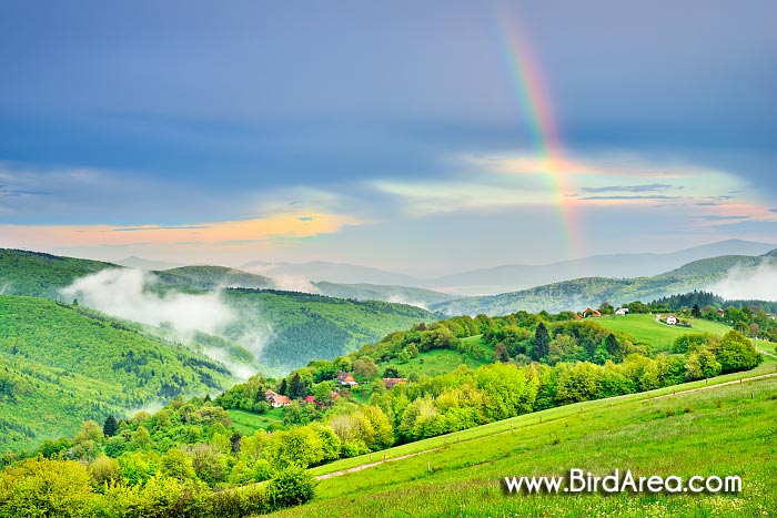 Krajina na Žítkové, CHKO Bílé Karpaty, Česká republika, Slovensko, Evropa