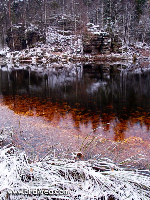 Černé jezírko, Skály, Teplice nad Metují