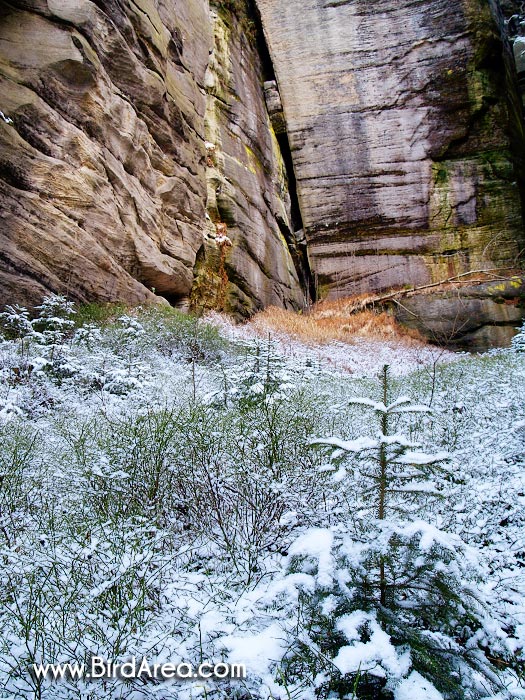 Teplické skály