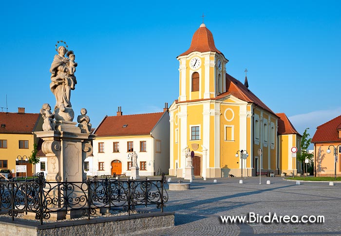 Socha Panny Marie s Ježíškem a kostel svatého Bartoloměje, Veselí nad Moravou