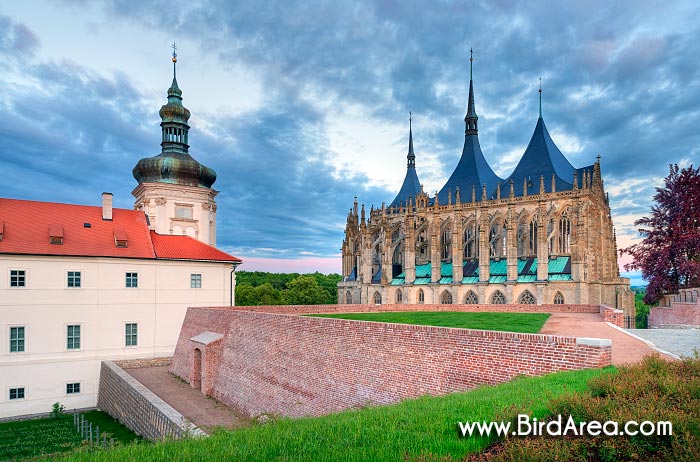 Jezuitská kolej a chrám svaté Barbory, Kutná Hora