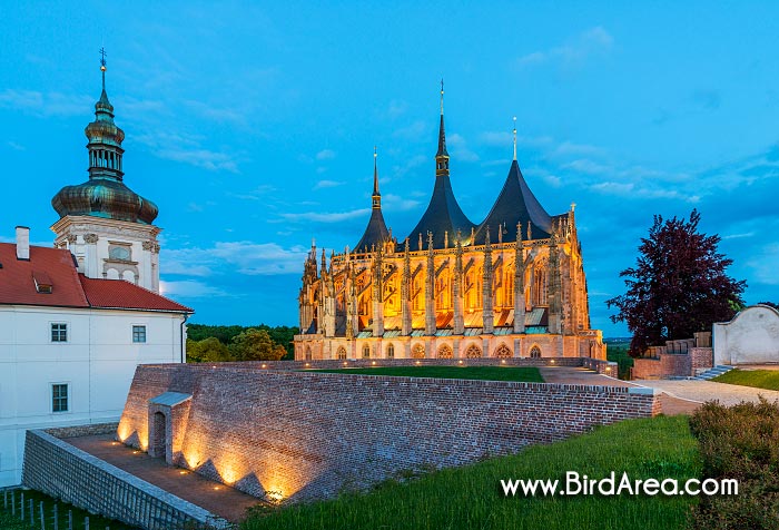 Jezuitská kolej a chrám svaté Barbory, Kutná Hora