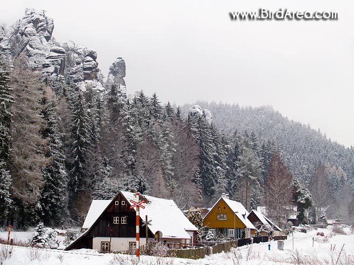 Dolní Adršpach, Adršpach