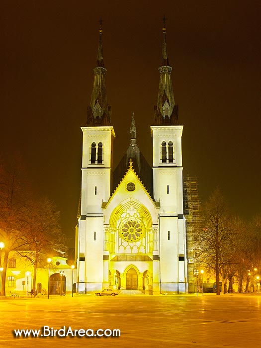 Church of Immaculate Conception, Svatopluk Čech Square, Ostrava-Přívoz, Ostrava