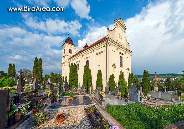 Kostel svatého Vavřince, Bojkovice