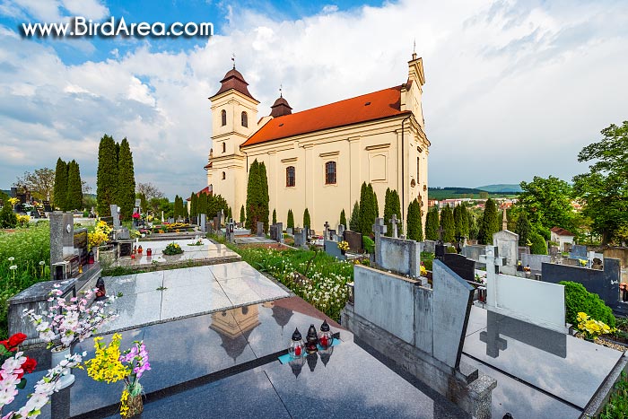 Kostel svatého Vavřince, Bojkovice