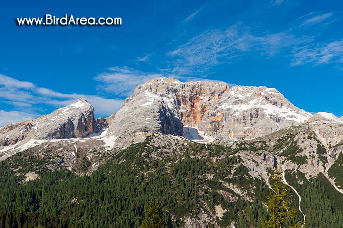 Hohe Gaisl (Croda Rossa)