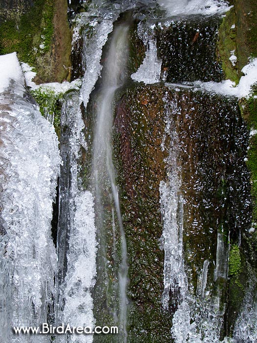 Bystřina, Teplické skály